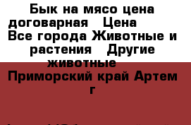 Бык на мясо цена договарная › Цена ­ 300 - Все города Животные и растения » Другие животные   . Приморский край,Артем г.